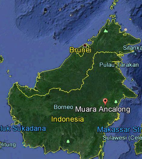 highlights the knowledge of the present scenario of fish diversity of the Suhui River, Muara Ancalong, East Kutai, East Kalimantan, Indonesia. Study area Suhui River Figure 1.