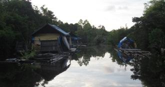 The preliminary study was conducted in June and July 2015. Fish samples were collected from the Suhui River, Muara Ancalong, East Kutai, East Kalimantan.