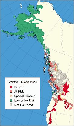 Figure 1.5. North American sockeye salmon range (Brownell 1999).