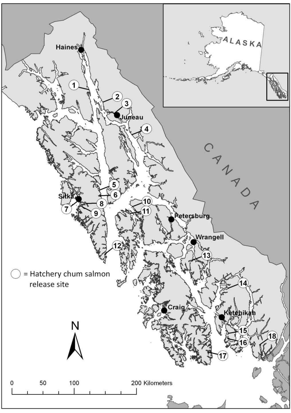 Figure 6. Map of Southeast Alaska showing major towns and current hatchery chum salmon release sites.