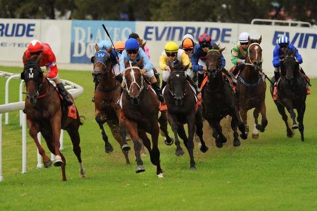 ABOVE The field swings for home in the final race on January 24, the RAAF Richmond BM65. LETTER TO JULIETTE (yellow cap) was the resounding winner for Tye Angland and Garry White.