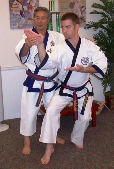 PTSDA Mission Statement & Instructor Purpose MISSION STATEMENT To provide high quality martial arts instruction to enable individuals of all ages to achieve their full potential.