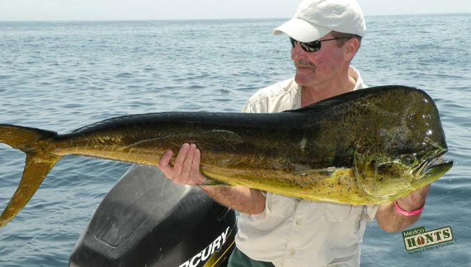 37429 Mexico, Sea of Cortez 3-day Baja California Billfish, Tuna, Dorado, Rooster and Wahoo for Two Anglers