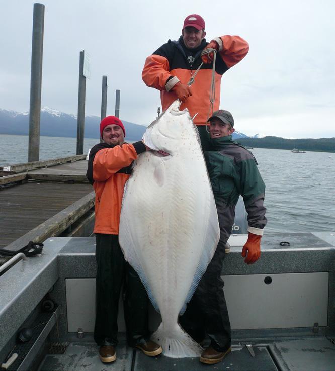 Fishing 38083 Alaska, Iliamna 5-day Alaska Salmon, Trout, Grayling, Char and Dolly Varden Trip for One Angler