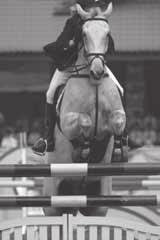 2 hands that has not been shown over fences the regulation height or higher for its respective section at