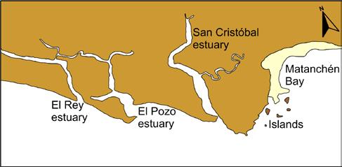 The estuaries systems, 2006 (Digitalized from Google Earth). Figure 3. Evolution of the northern tip of the bay (Digitalized from historical photographs by Ortiz, 1999).