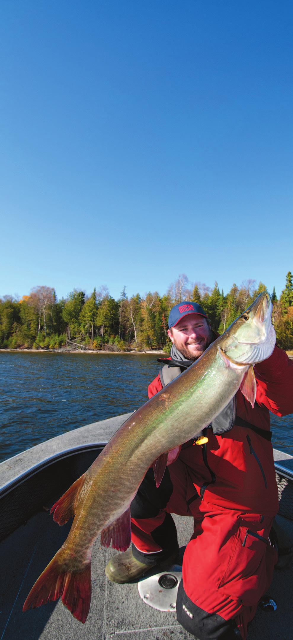NORTHWESTERN ONTARIO S MUSKIE LAC SEUL, EAGLE LAKE, AND LAKE OF THE WOODS SET THE STAGE LUNKER LUNGE ACTION.