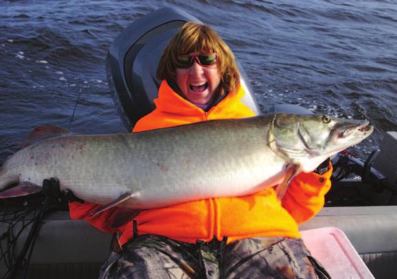 Its crescent shape stretches nearly 155 miles from the northeast end to Ear Falls in the west. Most muskie are concentrated in two areas at the southeast and northeast.