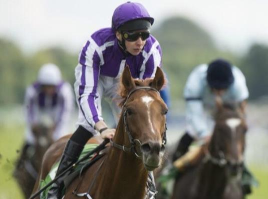 Burwaaz was also second at Glorious Goodwood in the Molecomb Stakes Group 3 behind the Michael Tabor owned Requinto who now stands at Coolmore Stud.