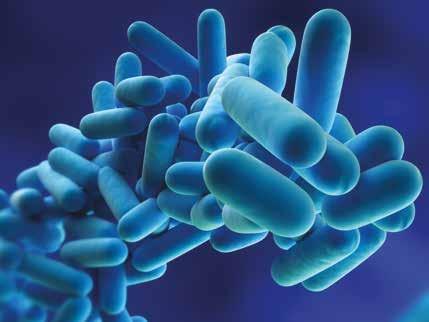 In well managed and adequately disinfected pools, the spread of viral infections should not occur.
