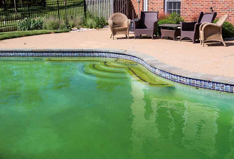 Algicides The appearance of algal growths in outdoor pools is an all too common nuisance. As well as being unsightly, they can prove to be dangerous if they make surfaces slippery.