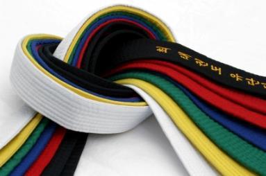 One of the most misunderstood aspects of martial arts training is the meaning or purpose of the bow. In Taekwon-Do the bow is a form of greeting and sign of respect.