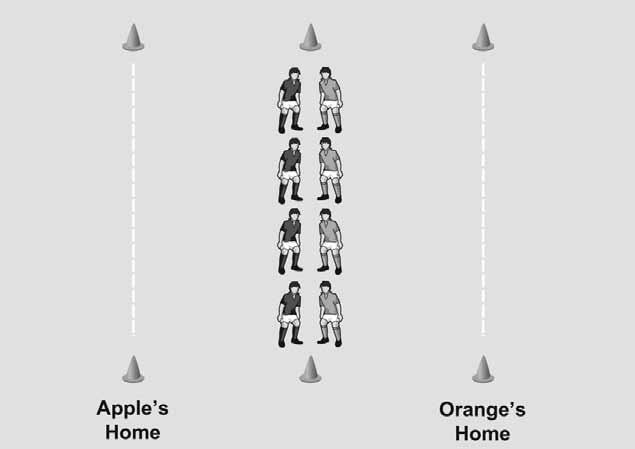 S E S S I O N P L A N 1 A U S T R A L I A N R U G B Y P L A Y E R P A T H W A Y Apples and Oranges Game 4 In a 10m x 10m grid, two teams form lines in the middle facing each other.
