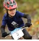 Present Situation...consultation has confirmed the strength of the Scottish position in the mountain biking world.