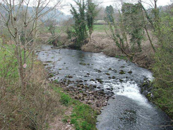 4.1.4 The River Nier Plate 4.4. The River Nier at Ballymacarbry Bridge The River Nier (Plate 4.4) rises in the Comeragh Mountains in Co.