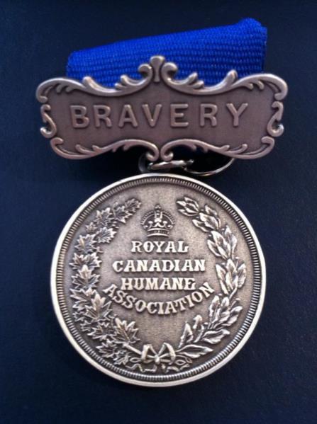 ROYAL HUMANE ASSOCIATION BRAVERY MEDAL Bronze Medal: Is awarded to those involved in a noteworthy rescue. There is usually a fair amount of risk or danger associated with the rescue.