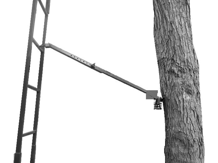 WARNING! You must check the ground under the treestand to make sure it is firm and level. Sloping ground or uneven surfaces (e.g., one foot on a rock) can cause your ladder to tilt or shift off the tree as you climb.