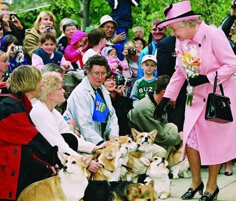 The Queen designated the Provincial Museum of Alberta as the Royal Alberta