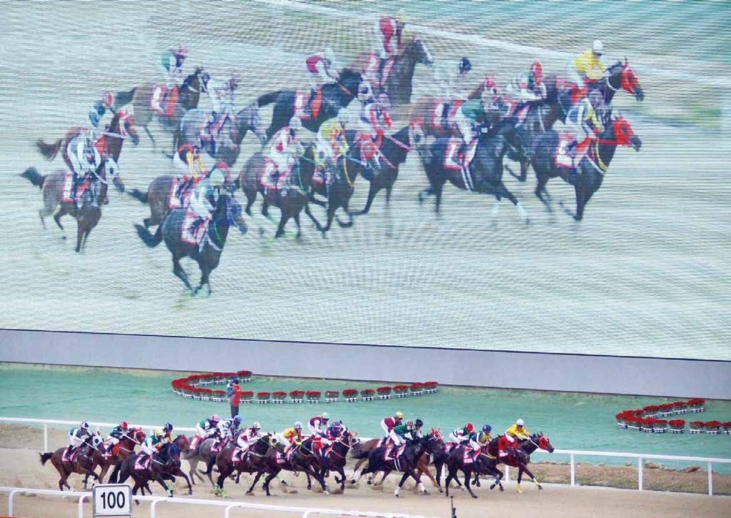 37 th Asian Racing Conference SEOUL 2018 4 2016 KEENELAND Korea Cup and