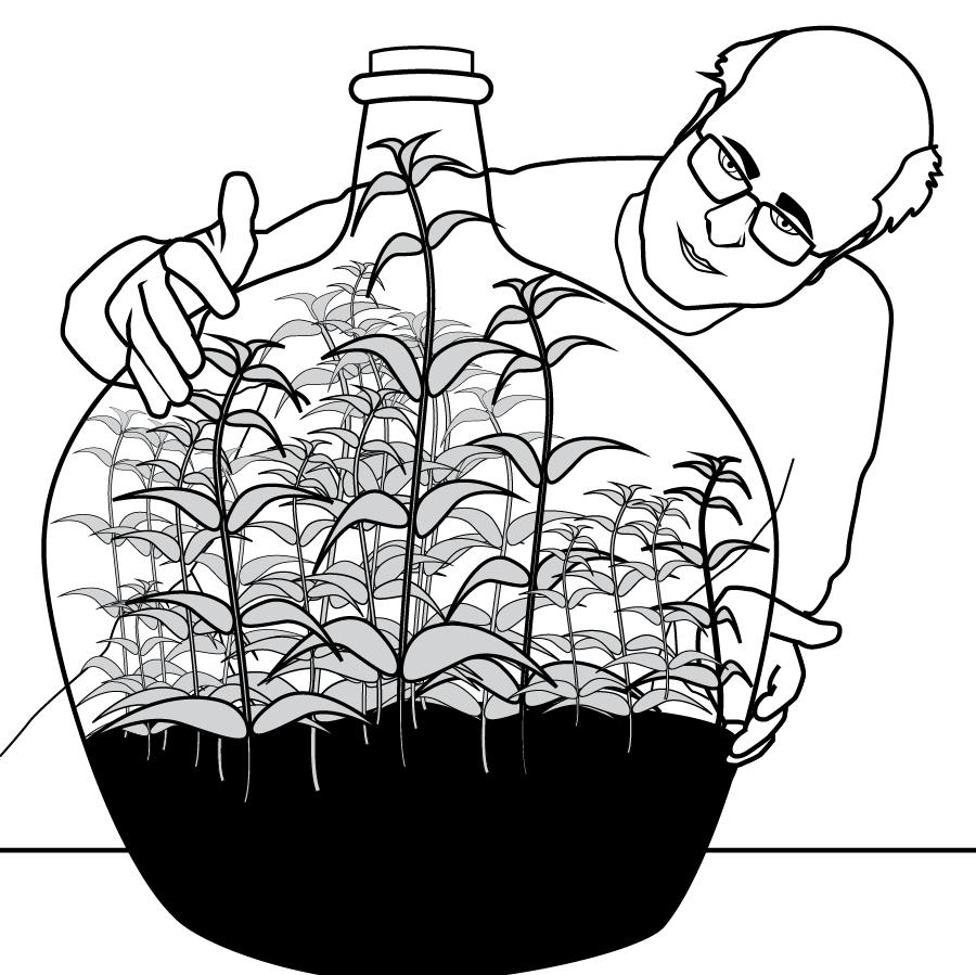 Plants in a Bottle: Photosynthesis and Respiration Teacher Answer Key My grandfather has a large bottle filled with water, soil, and plants.