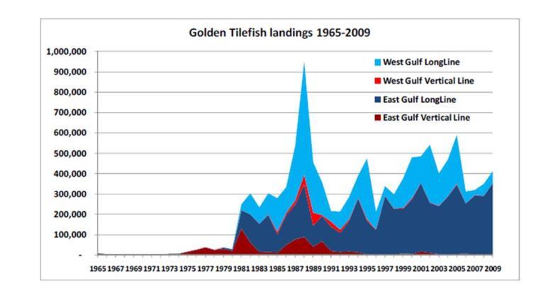11 Figure 3. Landings of golden tilefish in the South Atlantic by gear from 1973 to 2012.