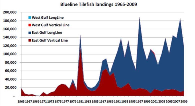 12 Figure 5. Blueline tilefish landings in the Gulf of Mexico by gear and area from 1965-2009. Figure 6.