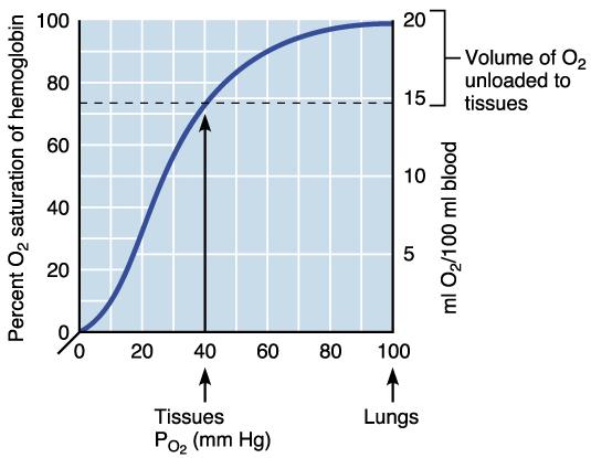 Gas Transport Oxygen Dissociation Curve.