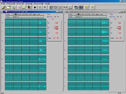D3. Running the simulation Operation window Speaker numbers Sound chart:anterior Sound chart: Posterior Speaker numbers Click button on the toolbar to start running the simulation.