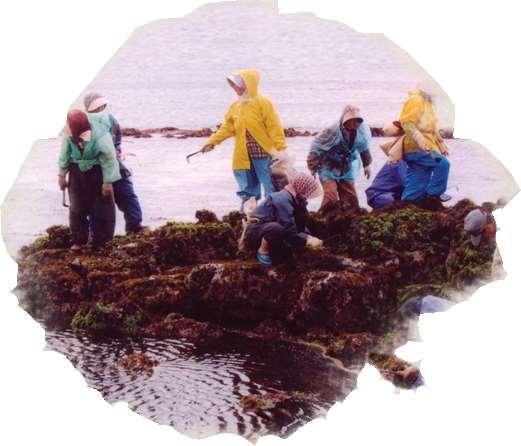 Sea farm in Jeju refers to haenyeo s workplace and common fishing ground The sea of Jeju is