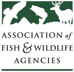 Protection) and Deb Hahn (Association of Fish and Wildlife Agencies) represented the state fish and wildlife agencies at the 29th Animals Committee meeting held in Geneva, Switzerland from 18-21