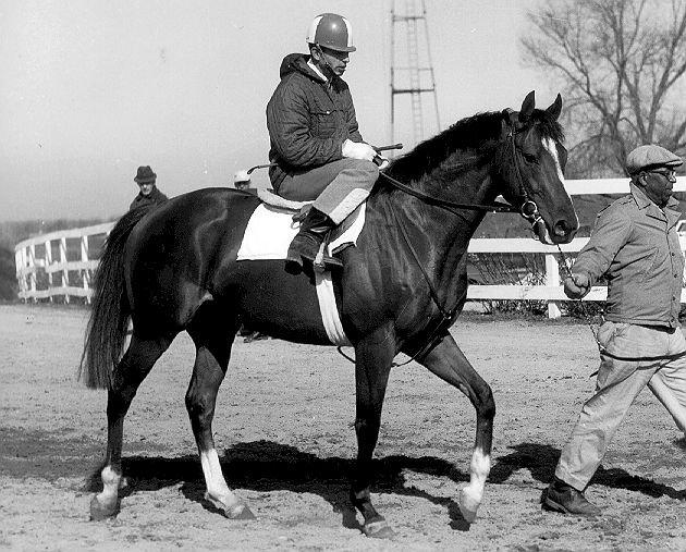 Northern Dancer Let s talk about ND, who went to stud in 1965 at Windfields Farm in Canada, and is without a doubt the most influential thoroughbred stallion of the 20th century.