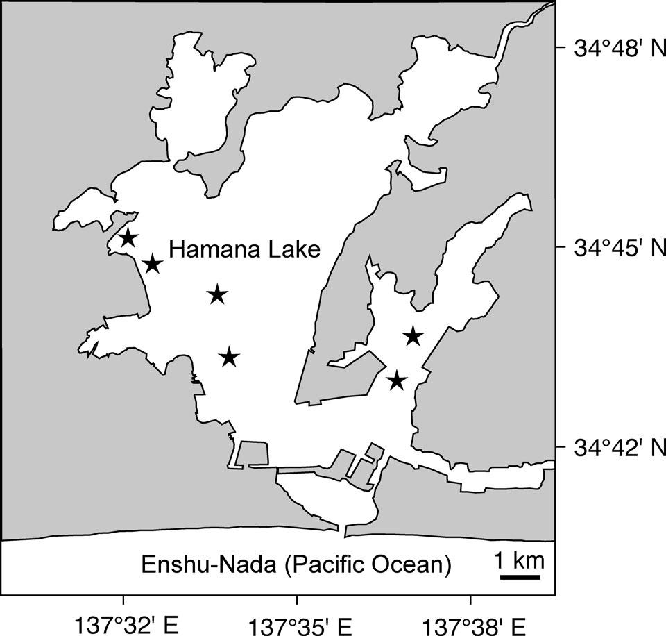 Coastal Marine Science 33 the downstream migration season in the Hamana Lake system, Japan.