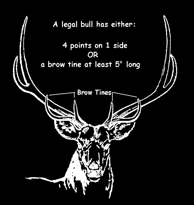 UNLIMITED BULL ELK LICENSES Over the counter bull elk licenses are available to non-resident and resident hunters