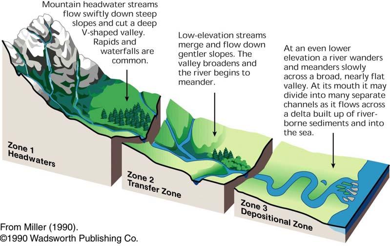 A stream is a portion of a fluvial system Stream
