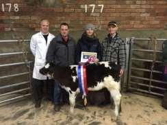 2017 BREED RECORD FOR CHAMPION HERDWICK FEMALE Ewe from R A Lancaster, Selling