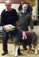 Jackson with the Champion Short Wooled Lamb Ellie Forster with the Champion