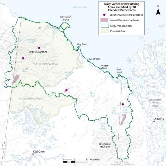 Figure 16. Areas of the Yukon North Slope used by Dolly Varden char for over-wintering, as identified by Inuvialuit land-users during TK interviews.