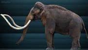HUNTING & GATHERING Columbian Mammoth Larger than