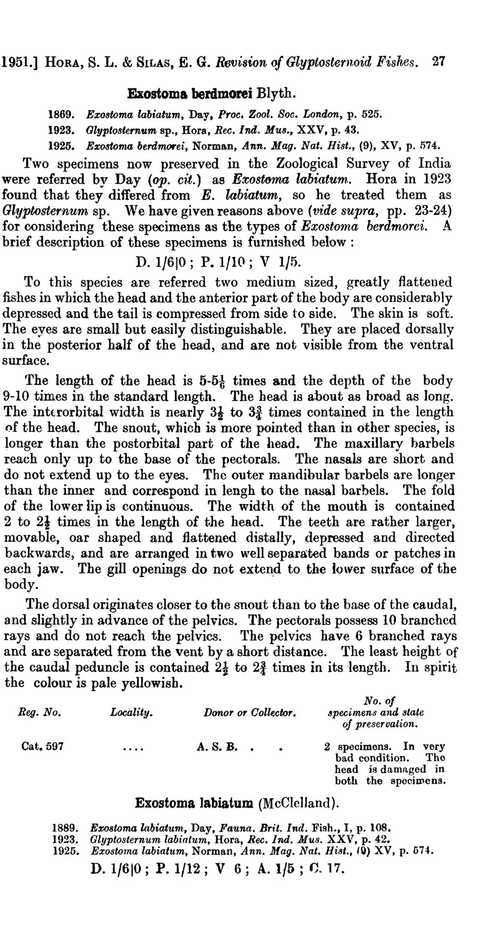 1951.] HOB-A, S. L. & SILAS, E. G. Revision of Glyptosternoid Fishes. 27 Exostoma berdmorei Blyth. 1869. Exosroma labiatum, Day, Proc, Zool. Soc. London, p. 525. 1923. GlyptosterntJ,m sp., Hora, Bee.
