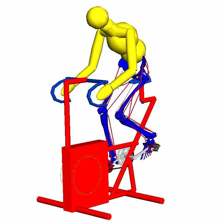 Bicycle Pedaling with Muscle Skeletal Model Realistic kinematics generated by stimulated muscle elements
