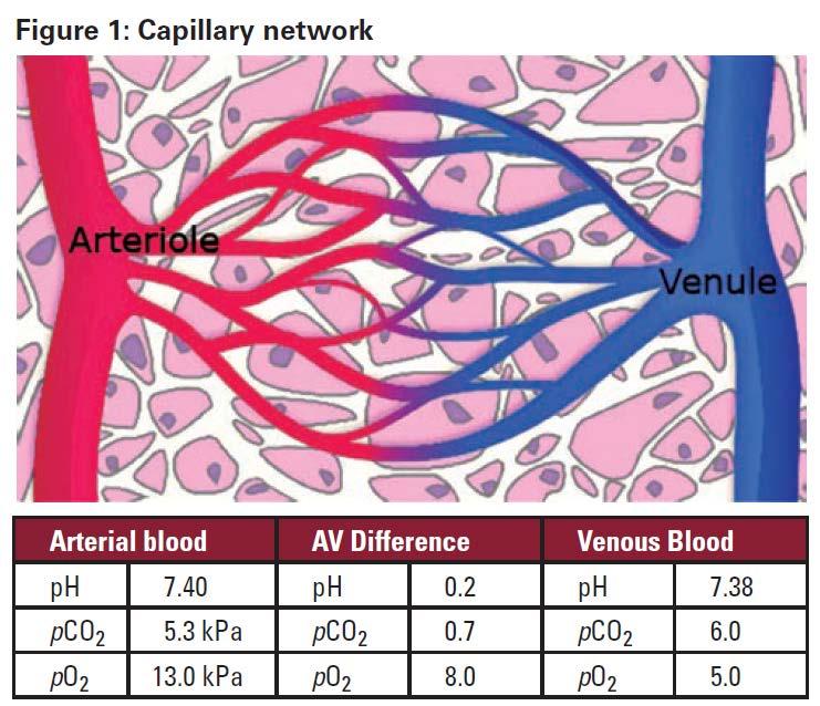 Arterial vs. capillary sample? Higgins C.