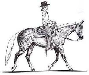 Western Horsemanship General 1) Horses are to be shown according to breed standard.