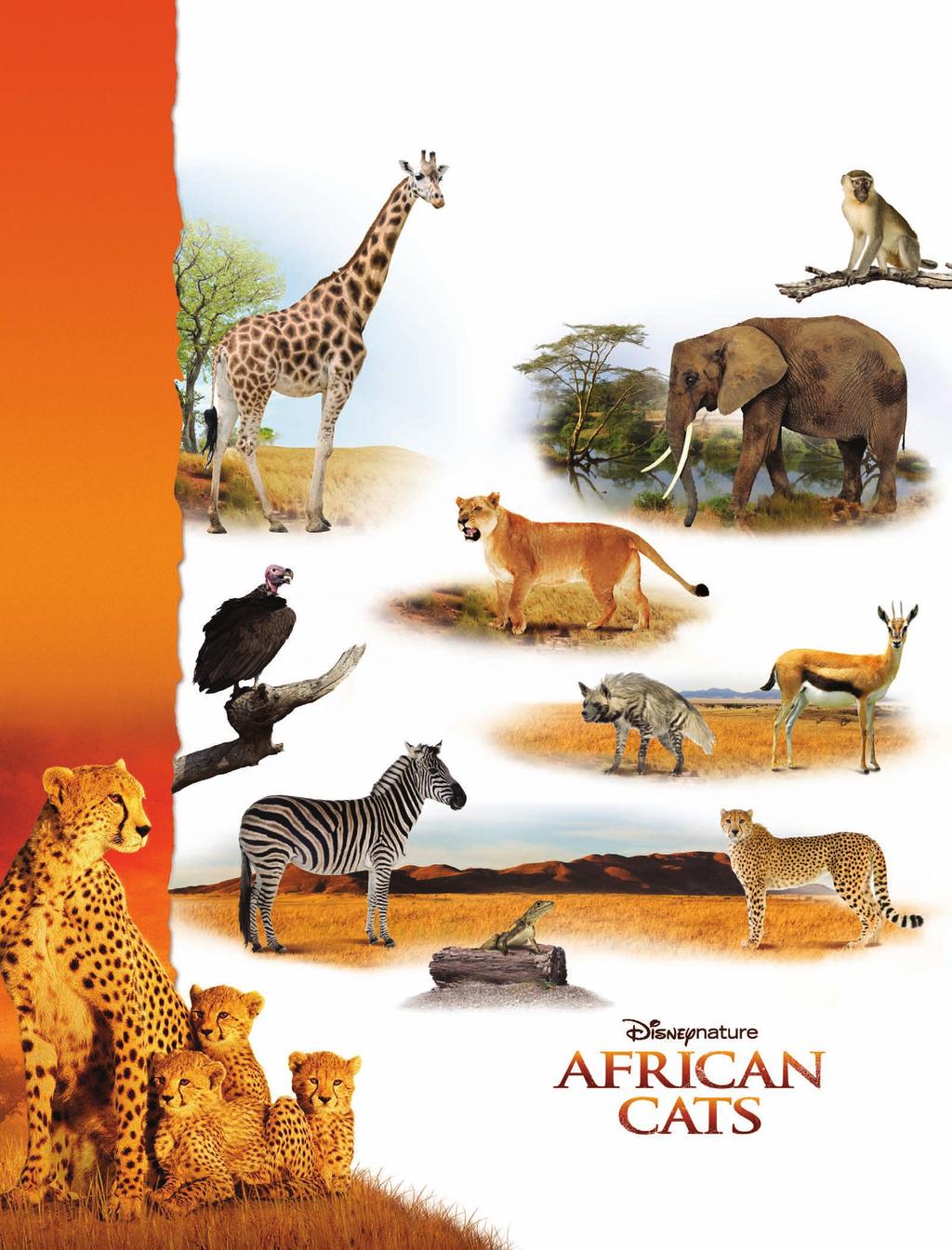 ACTIVITY W O R K S H E E T 1 What s in an African savanna? Use this worksheet in class, or take it home and quiz your family on names of the animals on the African savanna!