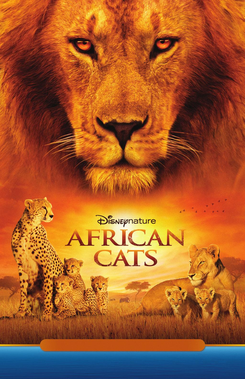 into the heart of Africa with AFRICAN CATS.