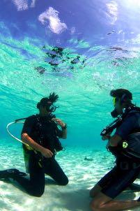 DIVING COURSES DISCOVER SCUBA DIVING for beginners, No previous experience required!