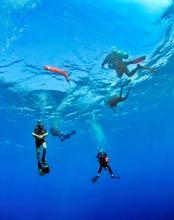 decompression diving Open Water Divers or equivalent have a maximum depth of 20 metres An orientation dive is normal procedure All