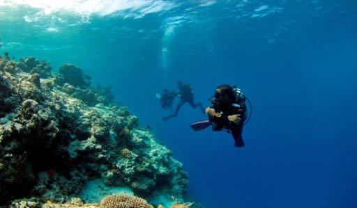 BEGINNER PADI COURSES (Price includes all equipment, boat fees and certification) Bubblemaker (8 and 9 year olds) $85 Discover Scuba Diving in the lagoon $150 Discover Scuba Diving Pack of 3 Dives(by
