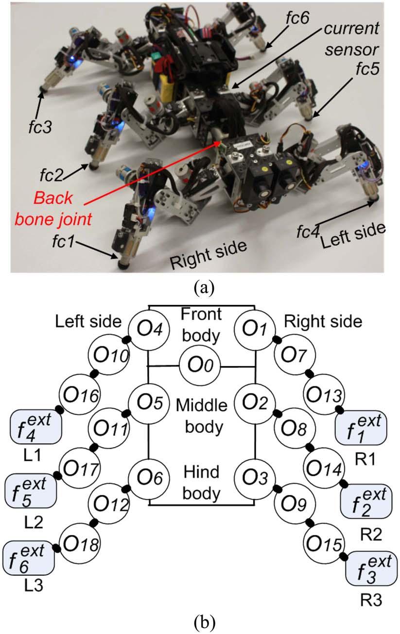 XIONG et al.: ADAPTIVE AND ENERGY EFFICIENT WALKING IN A HEXAPOD ROBOT 5 Fig. 4. Hexapod robot AMOS. Its three-jointed legs mimic leg morphology of an insect (see Fig. 3 in supplementary material).