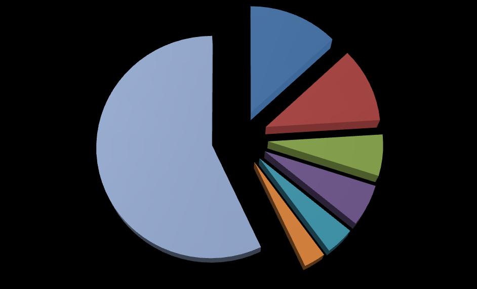 Suurima turuosaga ettevõtted Nagu tabelist näha, on trükitööstuse suurimad turuosad eelmainitud Polaris Medial ja Skanemil (vastavalt 13% ja 11%) Edda Resurs ja Schibsted Trykki ees, kellel mõlemal