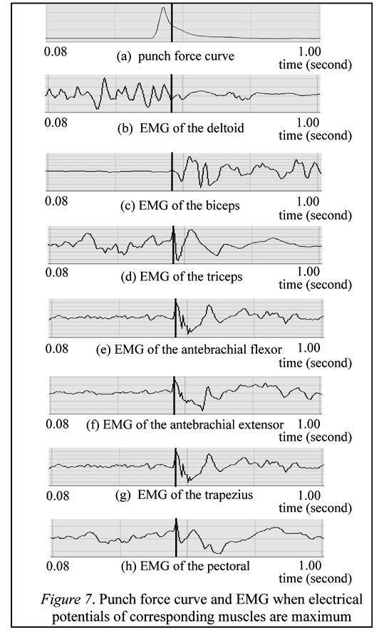 Time based punch force variation By examining the time synchronized vertical thick lines on the EMG graphs shown as Figure 6 (b), (c), (d), (e), (f), (g) and (h), it is noted that the deltoid was